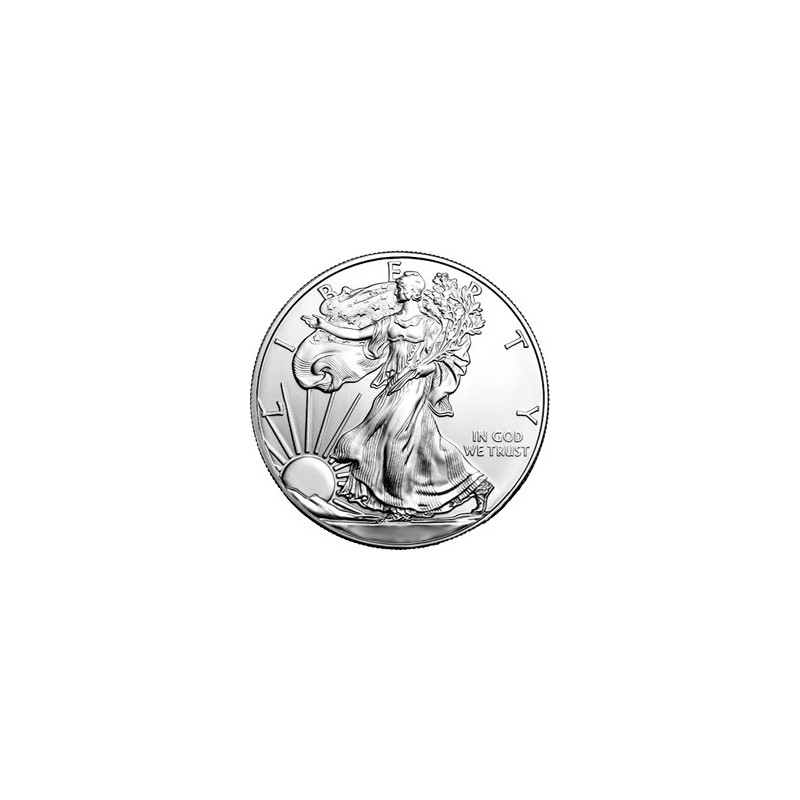 1 oz American Eagle Silbermünze | 2006