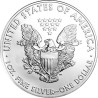 1 oz American Eagle Silbermünze | 2016